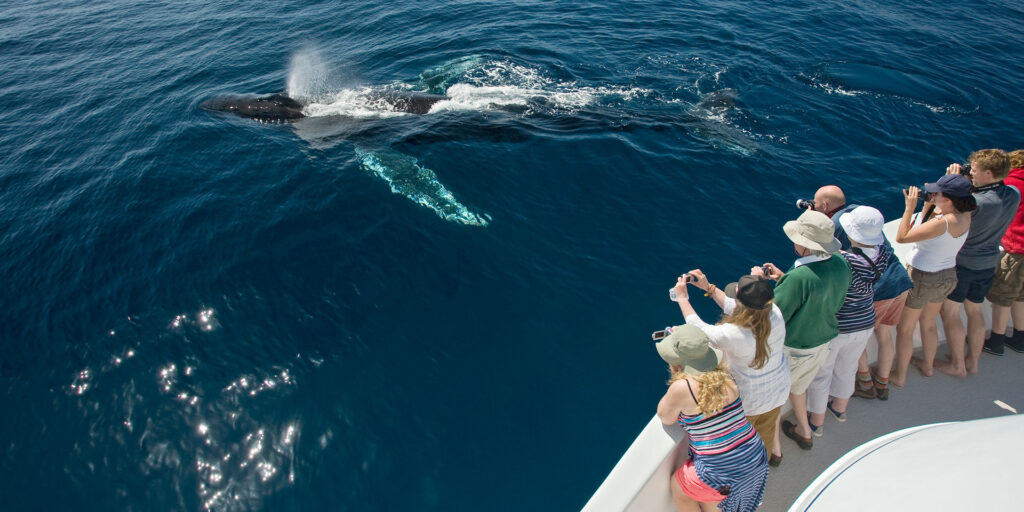 Playas Pacífico ballenas jaliso méxico turistas